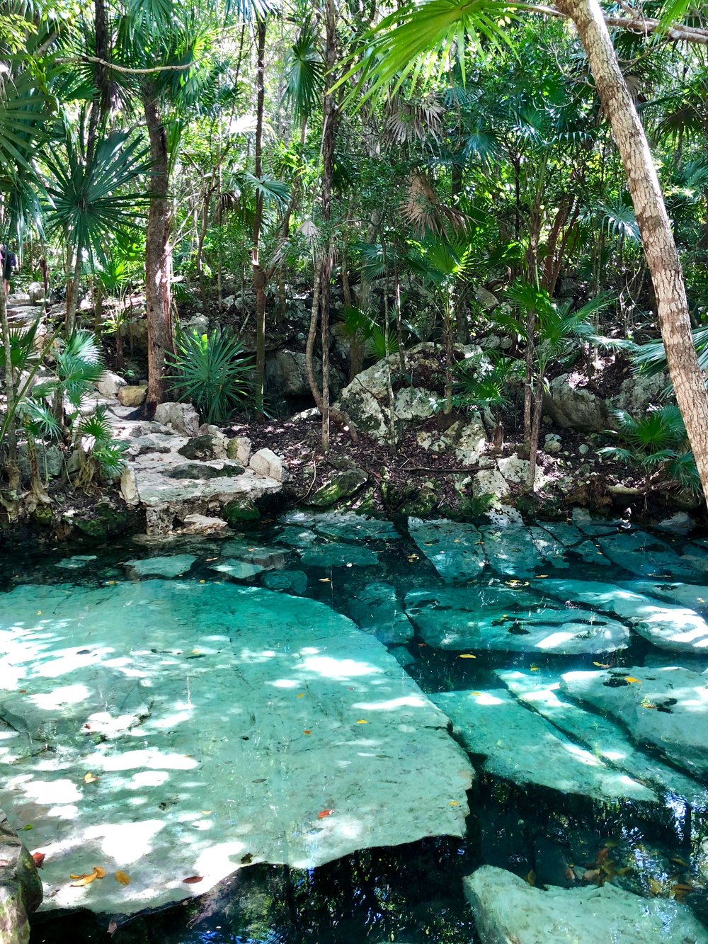 Cenote Azul located 30 minutes north of Tulum.