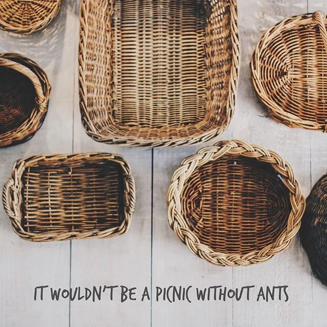 I hope everybody enjoyed #nationalpicnicday! Remember that with the good comes the bad. With gain comes pain. Don&rsquo;t let it discourage you. Happy Monday!