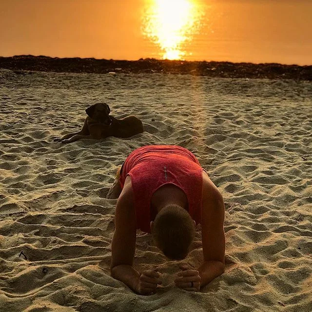 In classic Mike fashion: a morning beach workout was completed and a stray dog was pampered with pets. How are you starting your mornings?