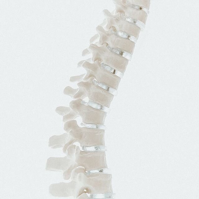 Thoracic spine 2/4

Anatomy:
The thoracic spine is the longest region of the spine, and possibly the most complex. It connects the neck above and the lumbar/low back below. 
It runs from the base of the neck down to the abdomen, and is the only spina