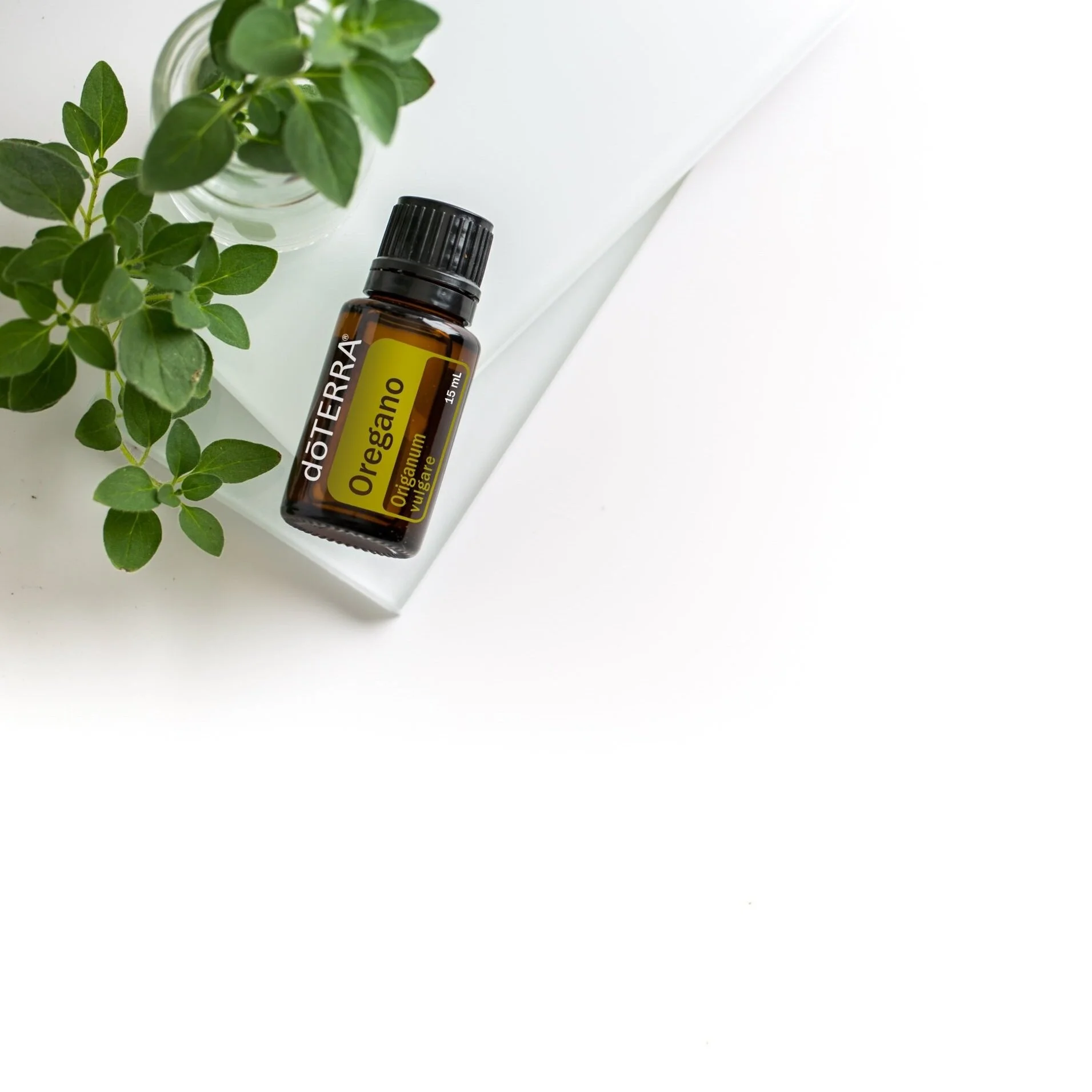 Oregano Oil
