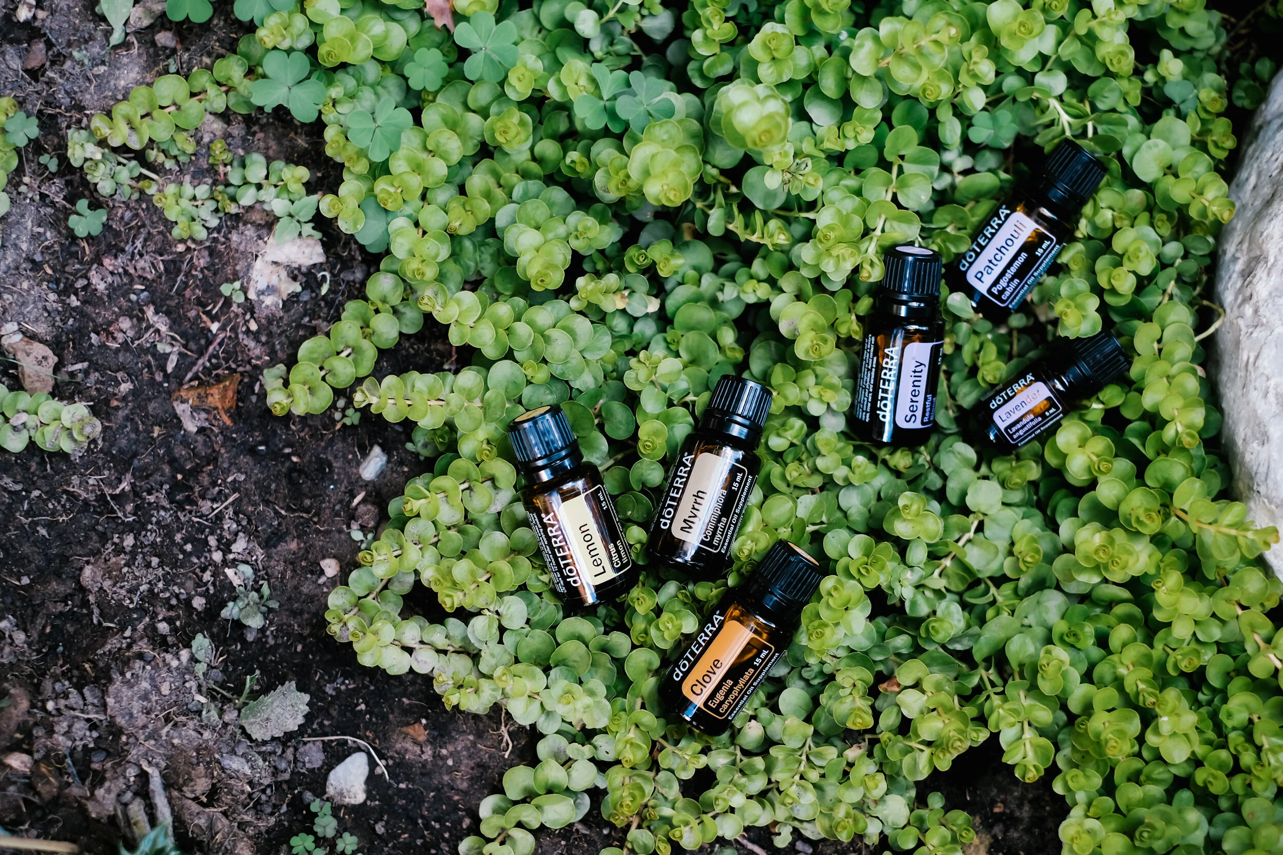 Oils for Outdoor Adventures