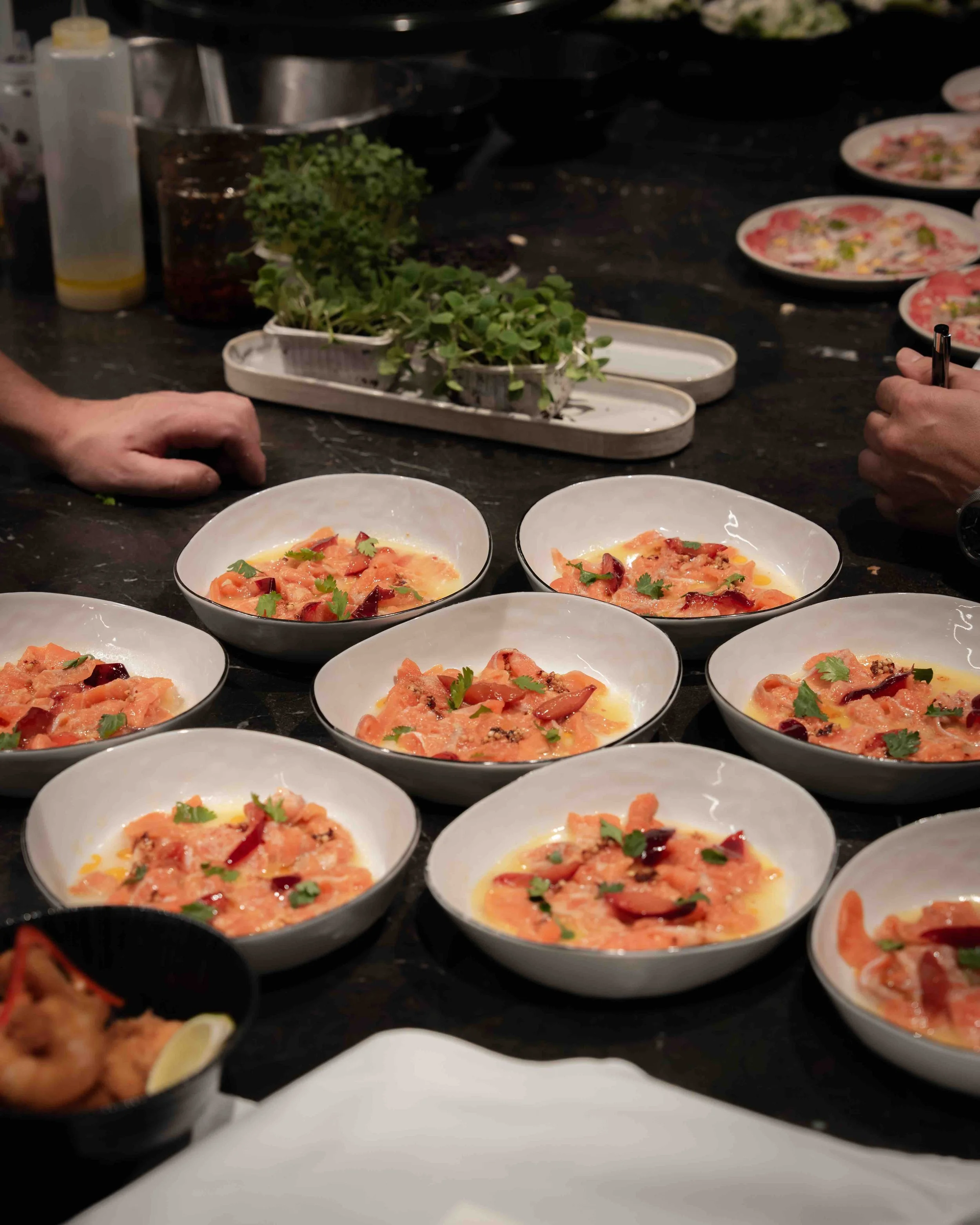 SeeSushi_Achensee_Presseevent_10.jpeg