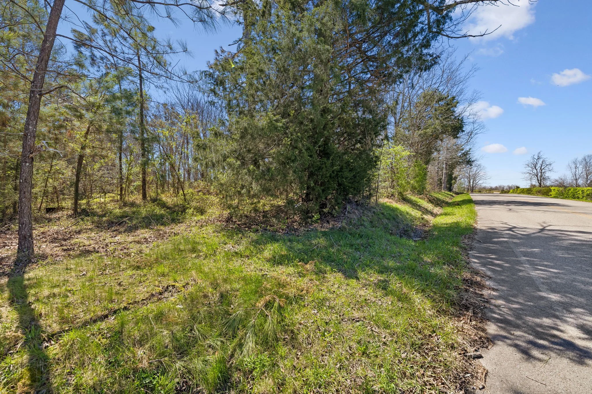 3-7795 W Lick Creek Rd Lot A003.jpg