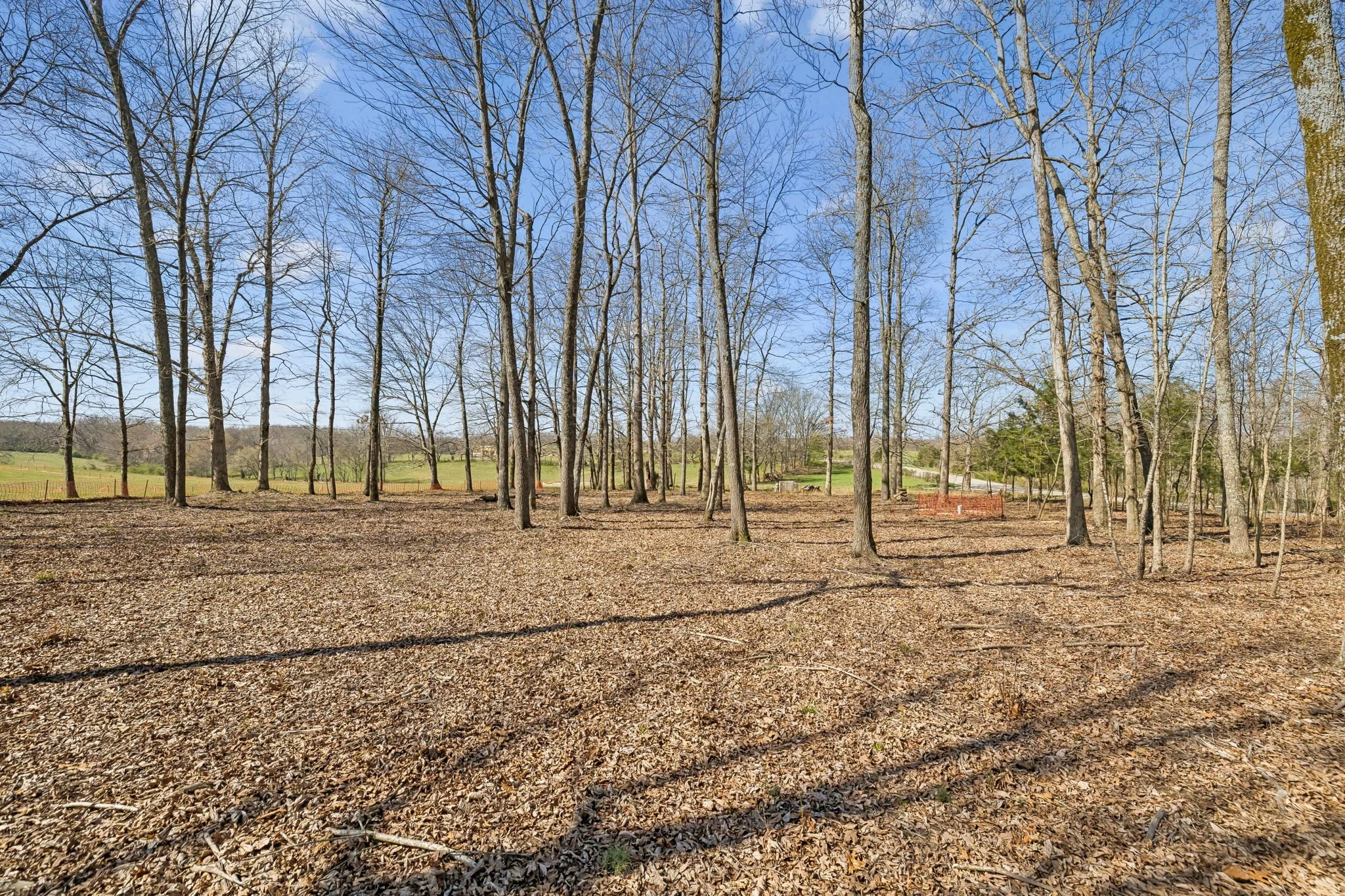 5-7795 W Lick Creek Rd Lot A005.jpg