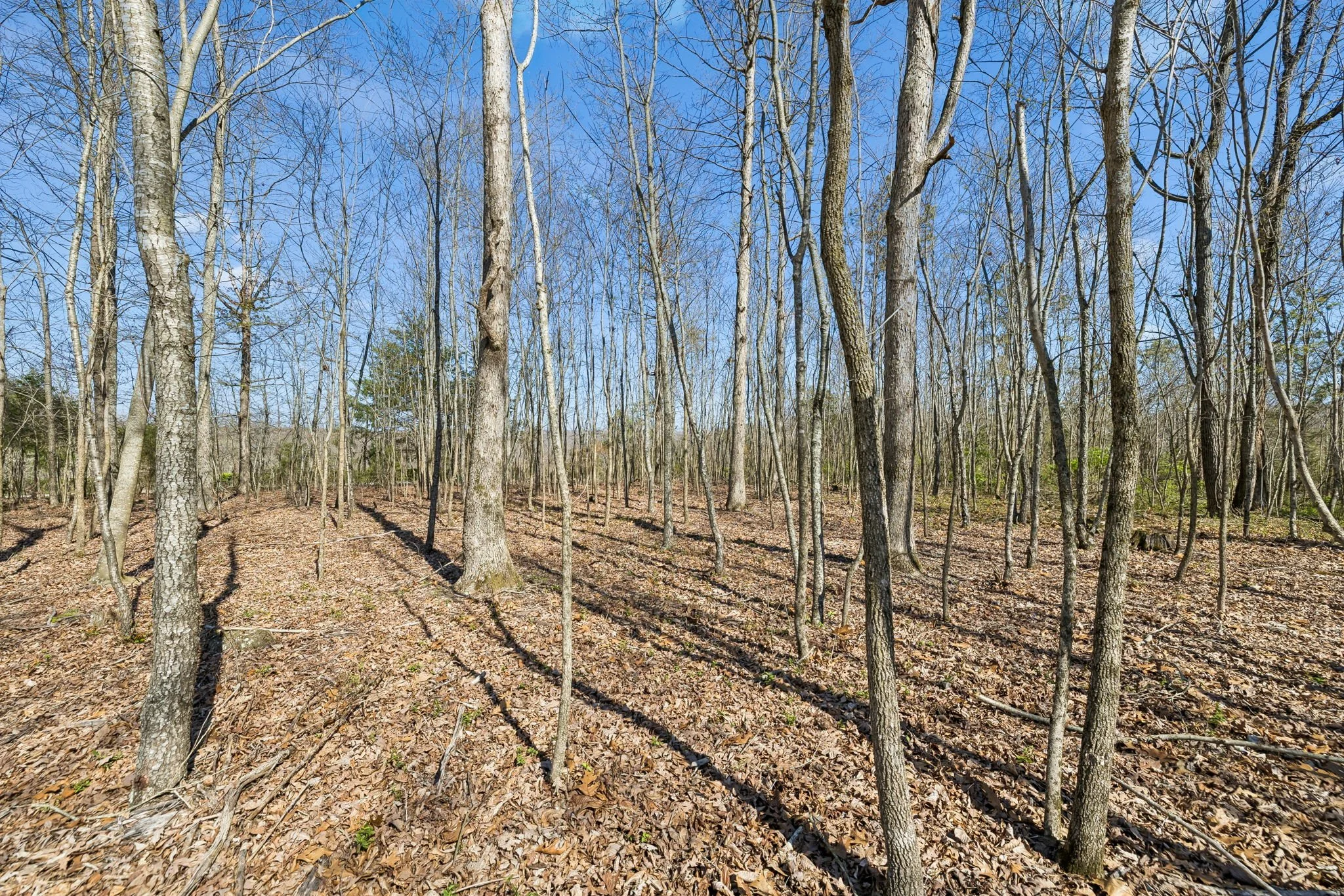 4-7795 W Lick Creek Rd Lot A004.jpg