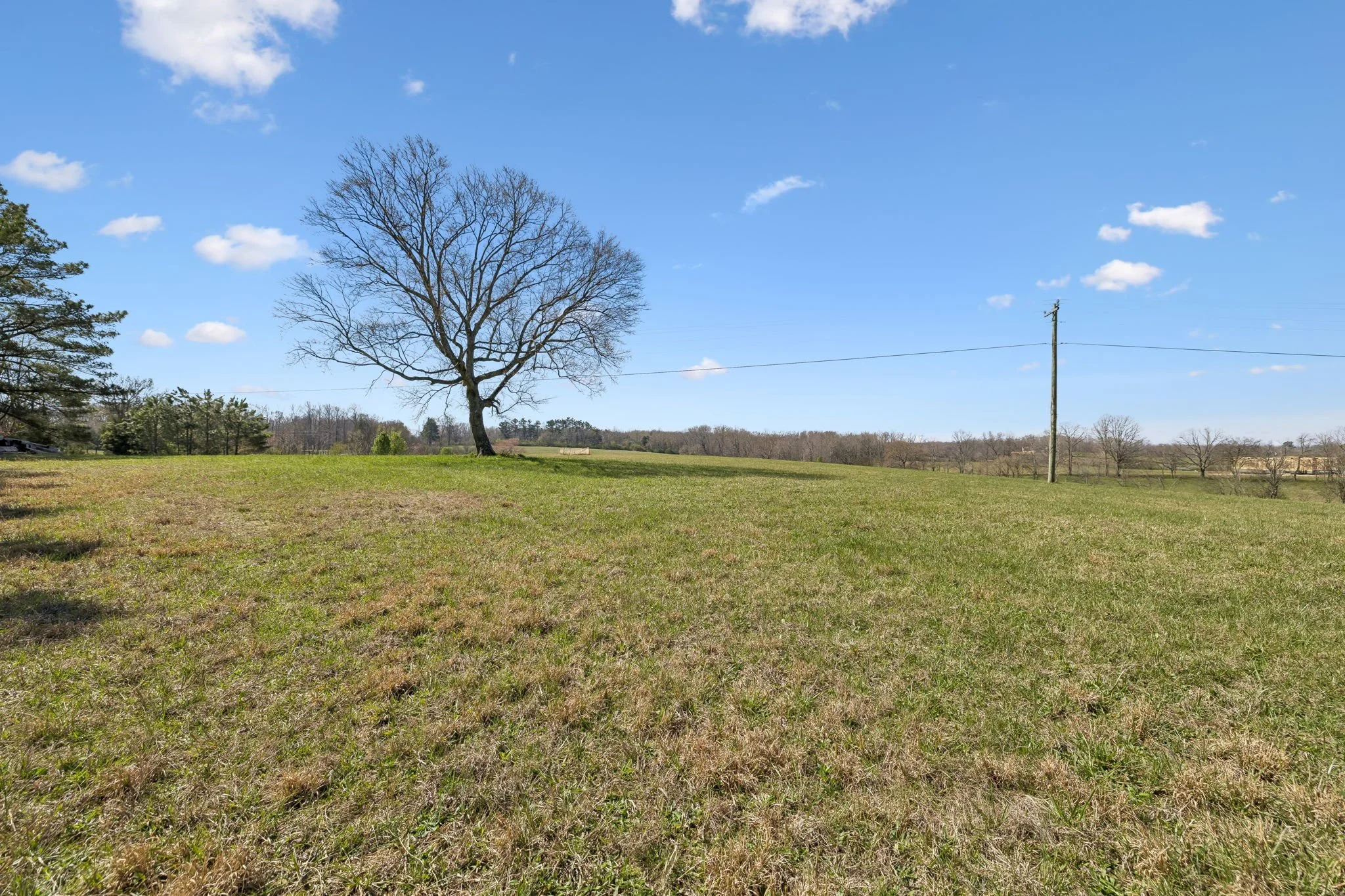 19-7795 W Lick Creek Rd Lot B - 001.jpg