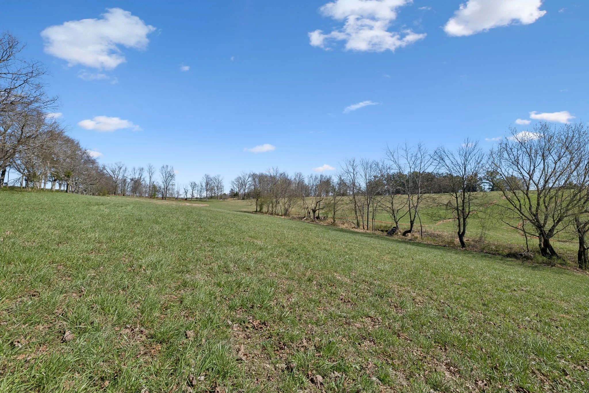 23-7795 W Lick Creek Rd Lot B - 005.jpg