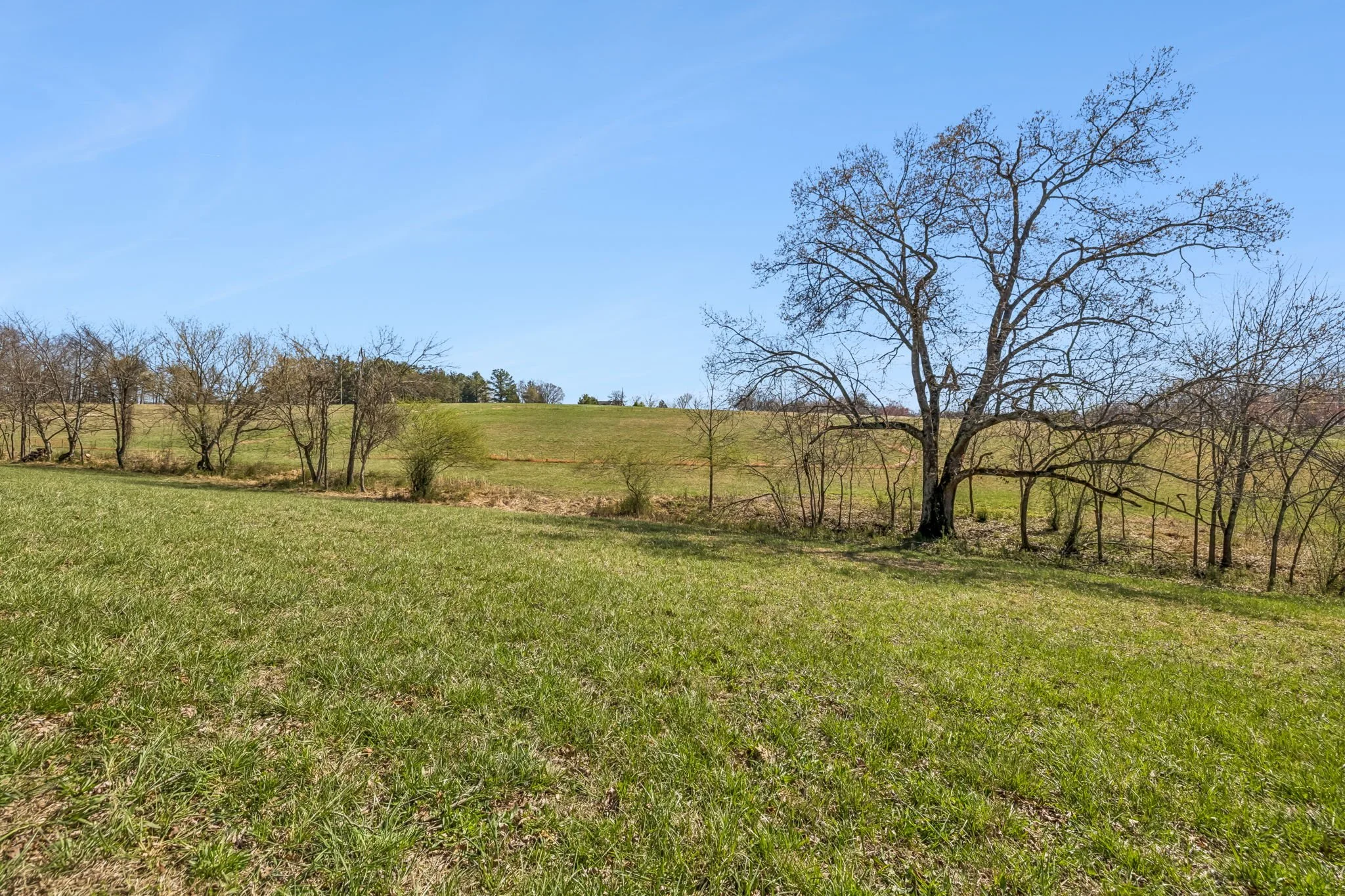 32-7795 W Lick Creek Lot C - 001.jpg