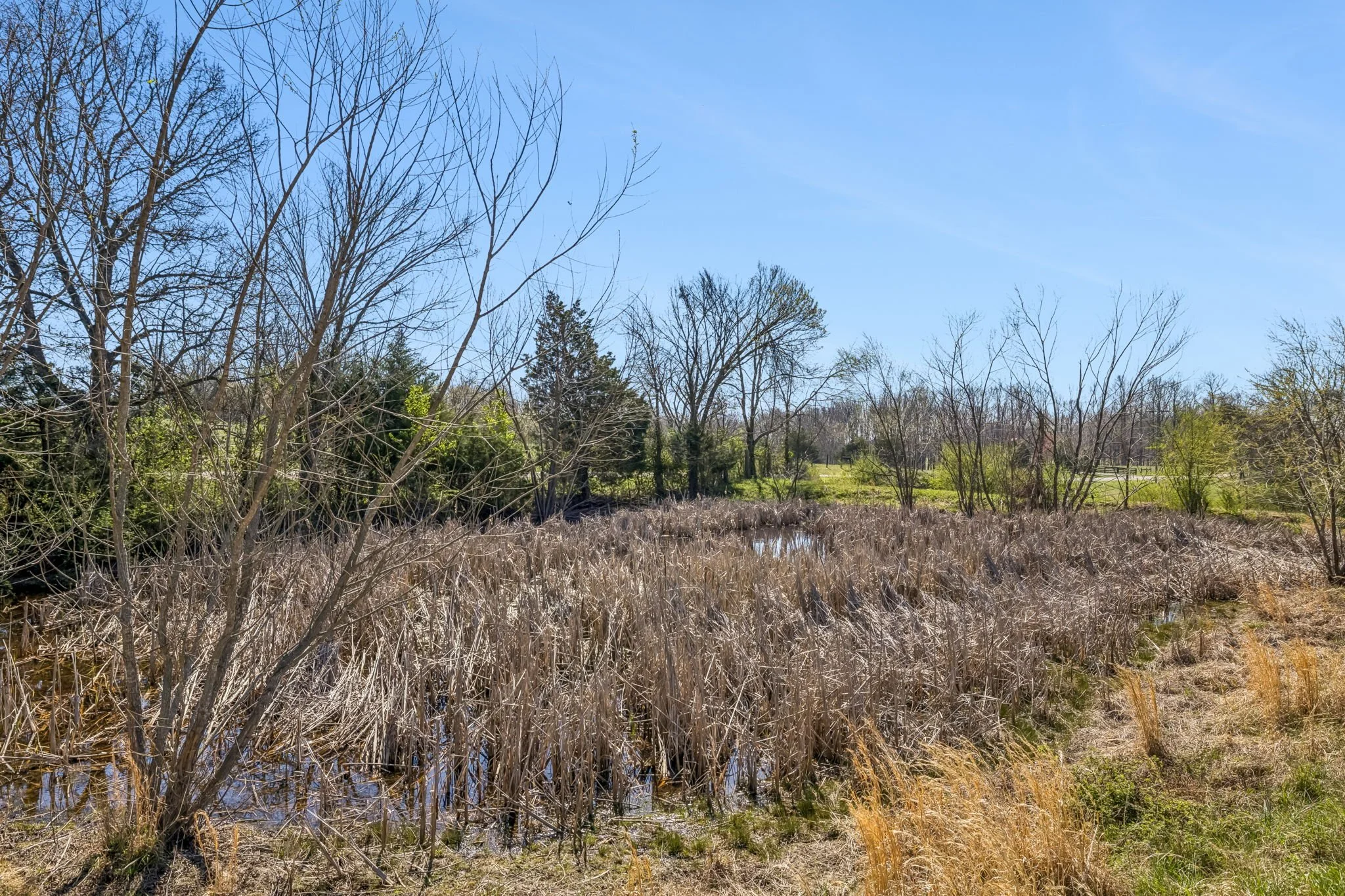 35-7795 W Lick Creek Lot C - 004.jpg