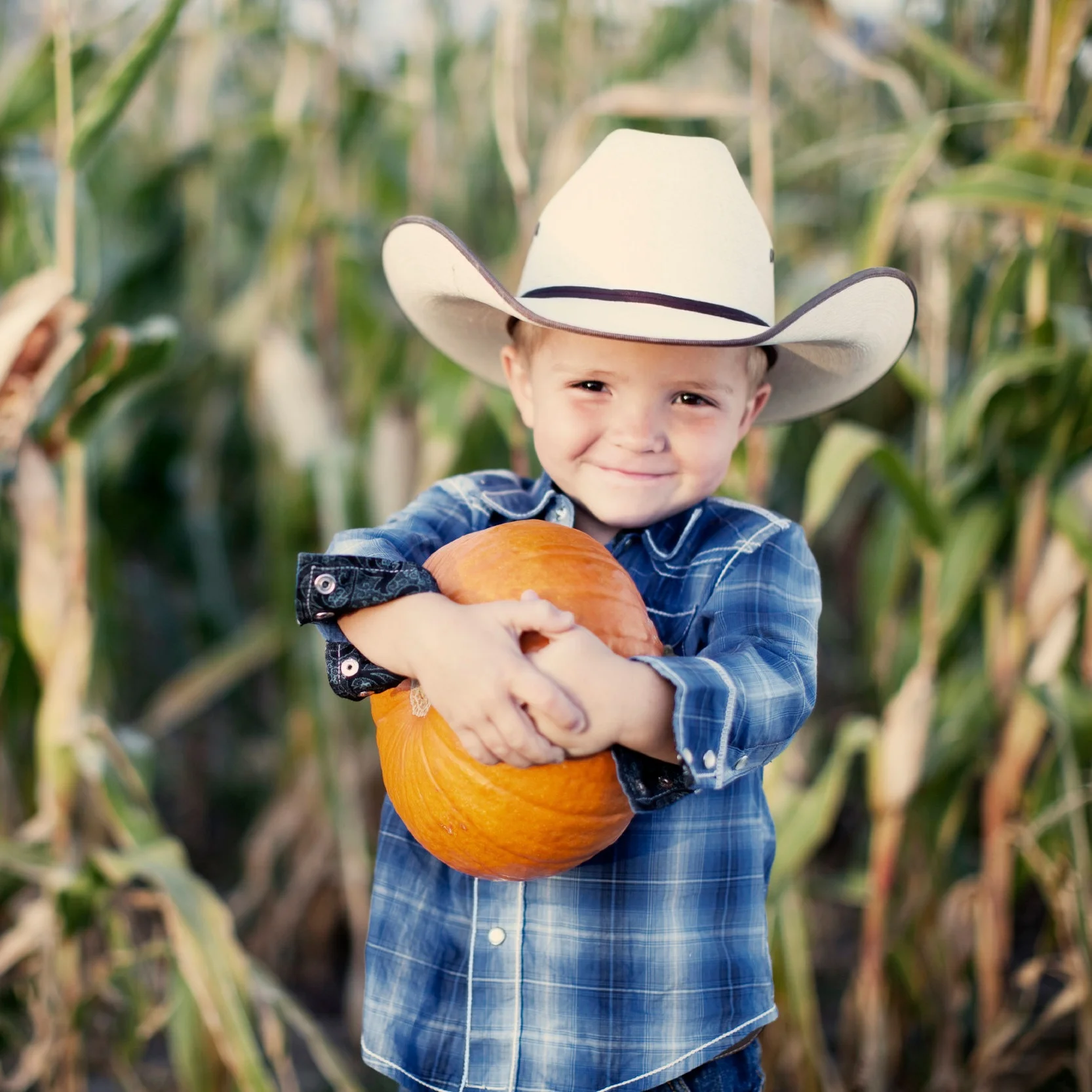 iStock_000018093402_Large.jpg
