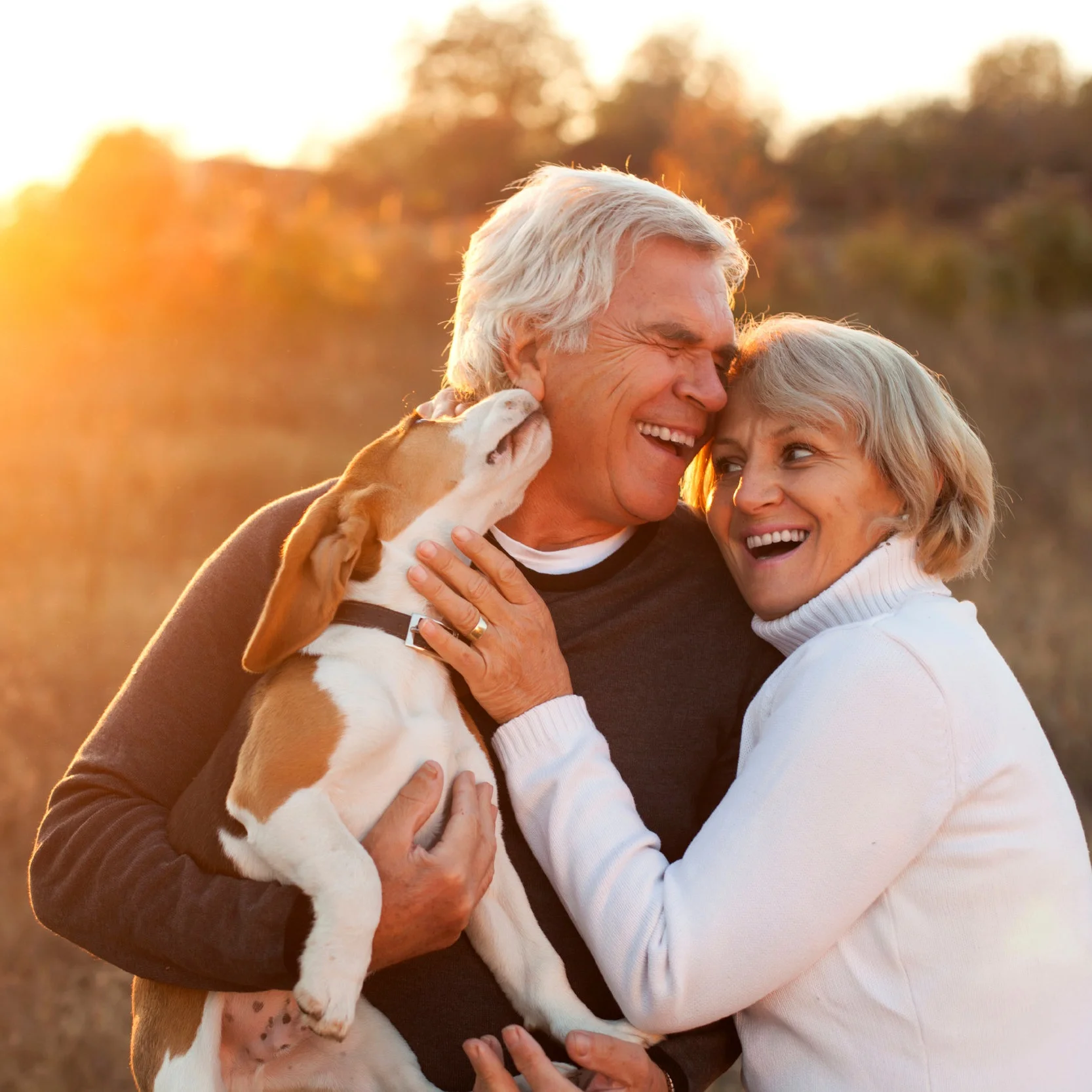 iStock_000022544352_Large.jpg
