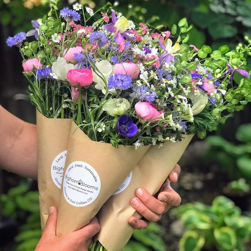 kids learning websites Flowers Delivery Fort Collins Colorado Florist In Fort Collins Flower