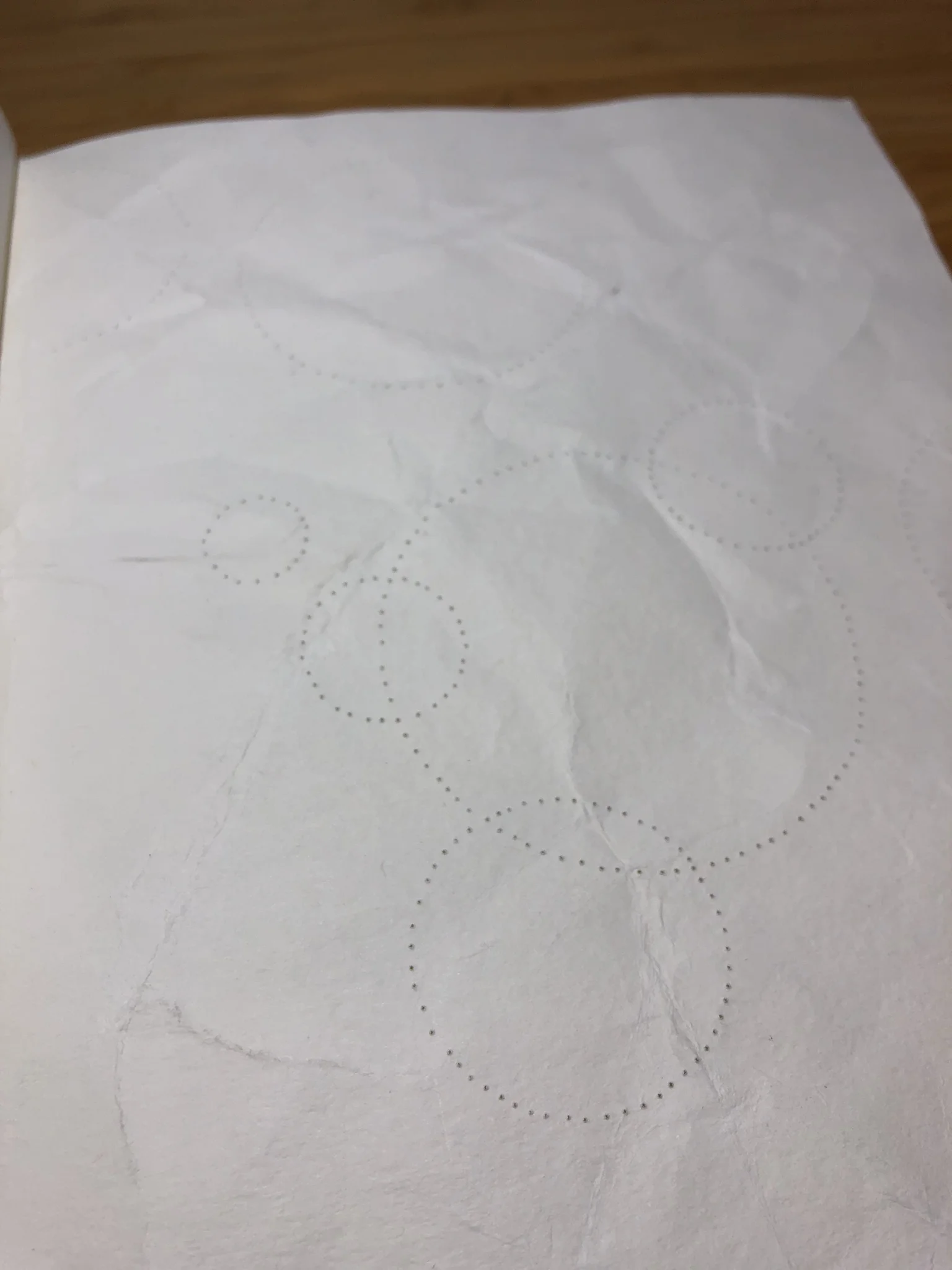 IMG_5169.jpeg