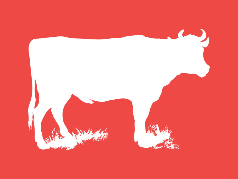 cow_red_800x600.jpg