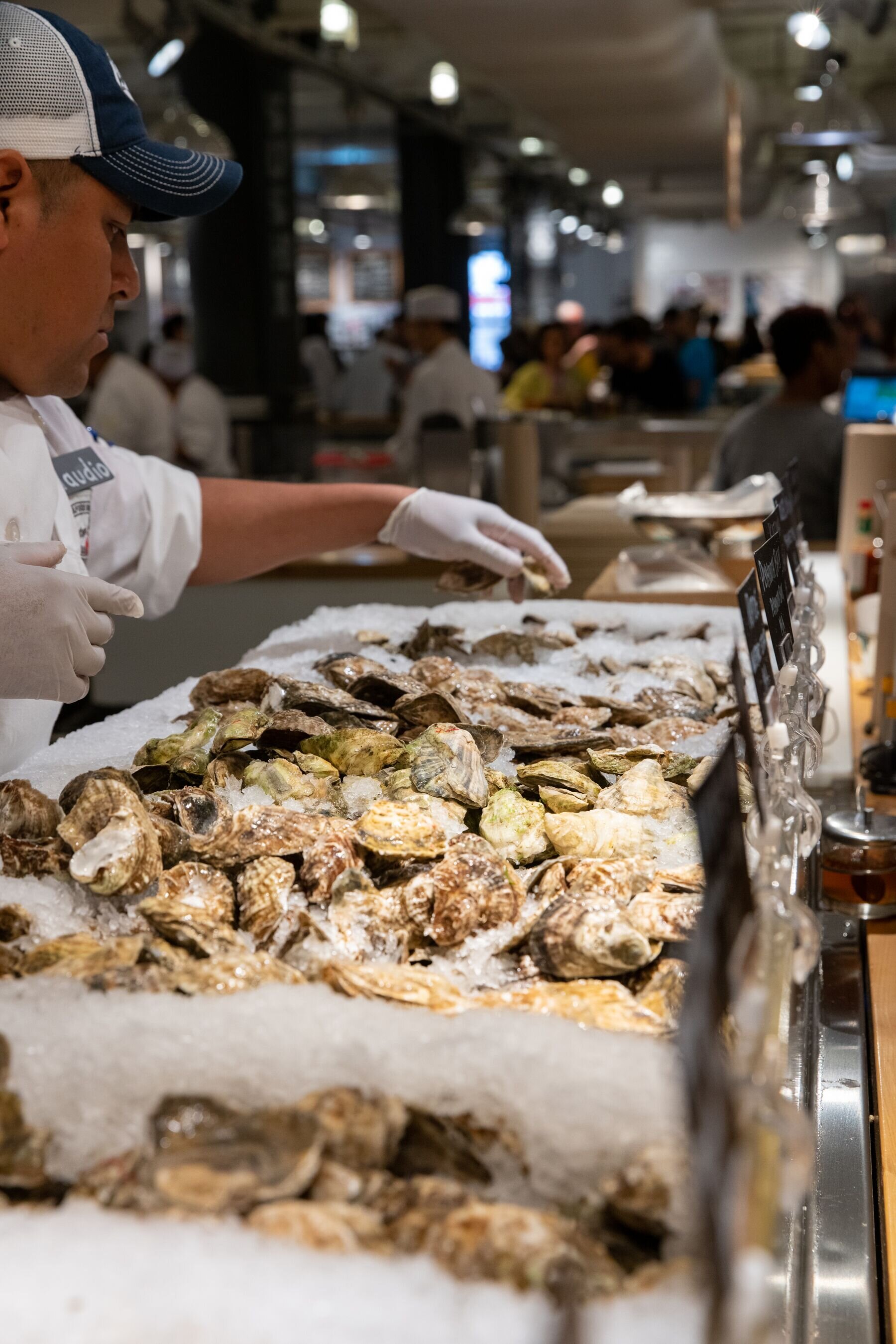 man selecting oysters 