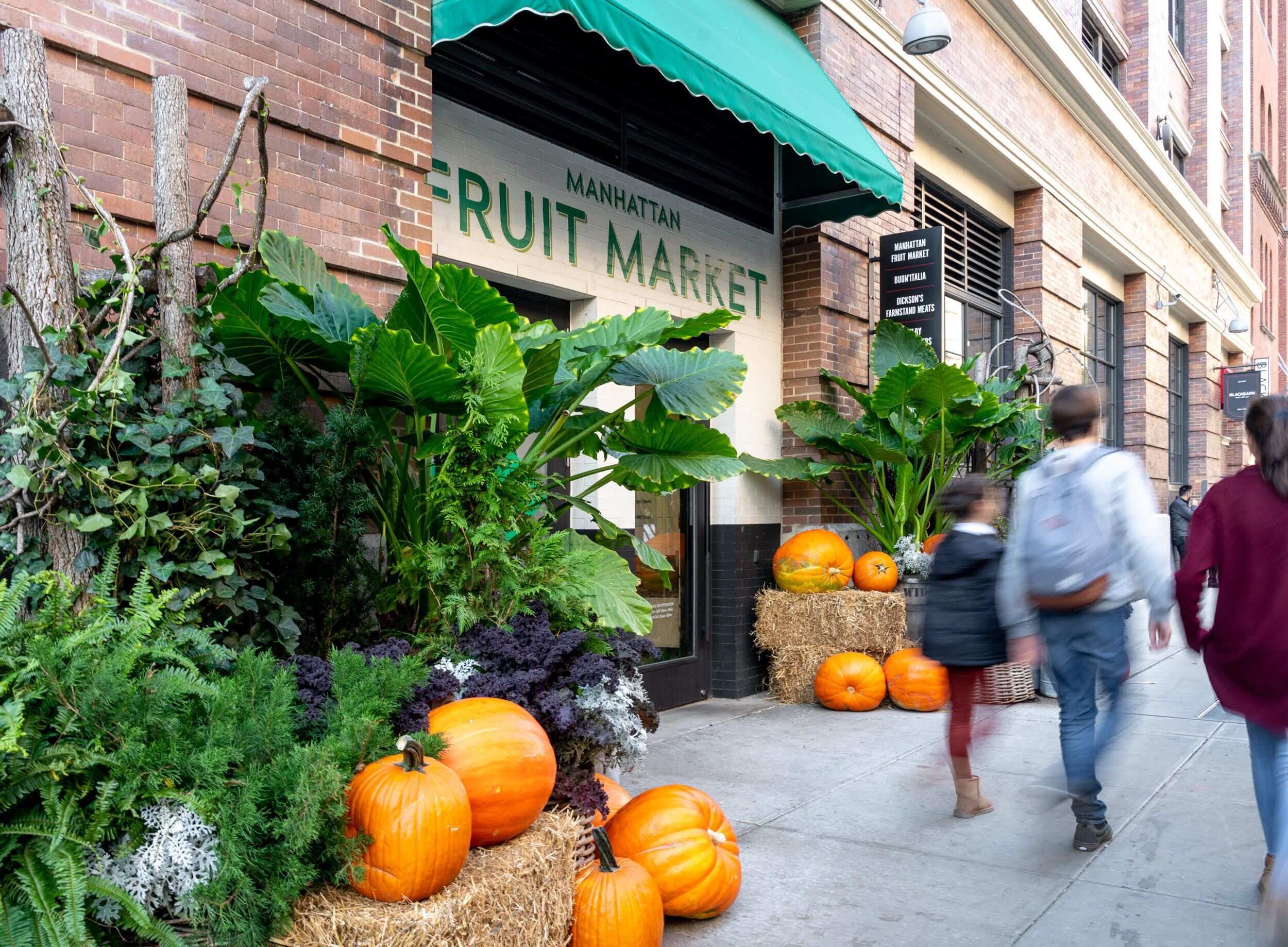 Exterior entrance to Manhattan Fruit Market with green plants and pumpkins surrounding door 