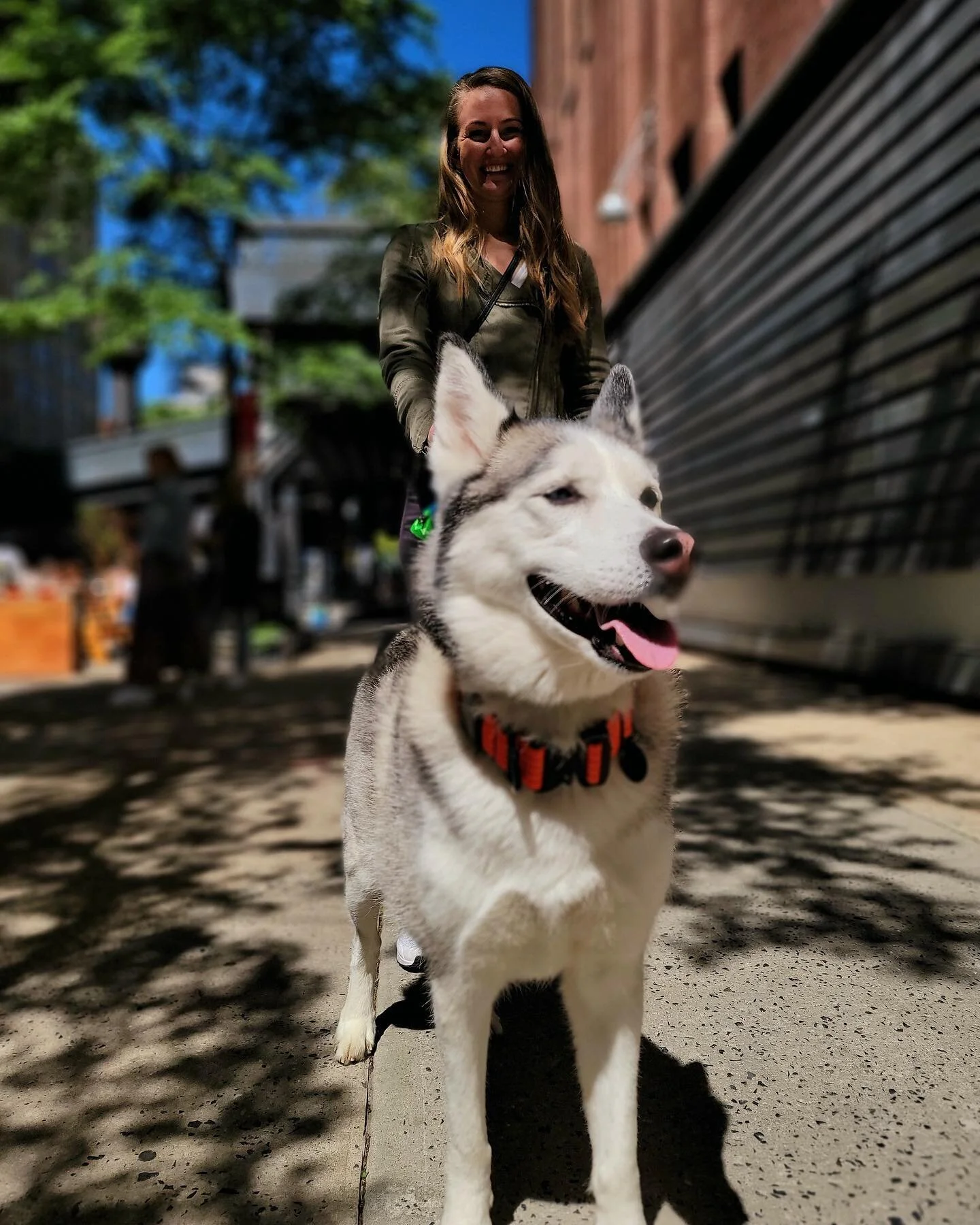 This very good #PupsofCM is heading to The Market today. Where are you headed with your Pup?