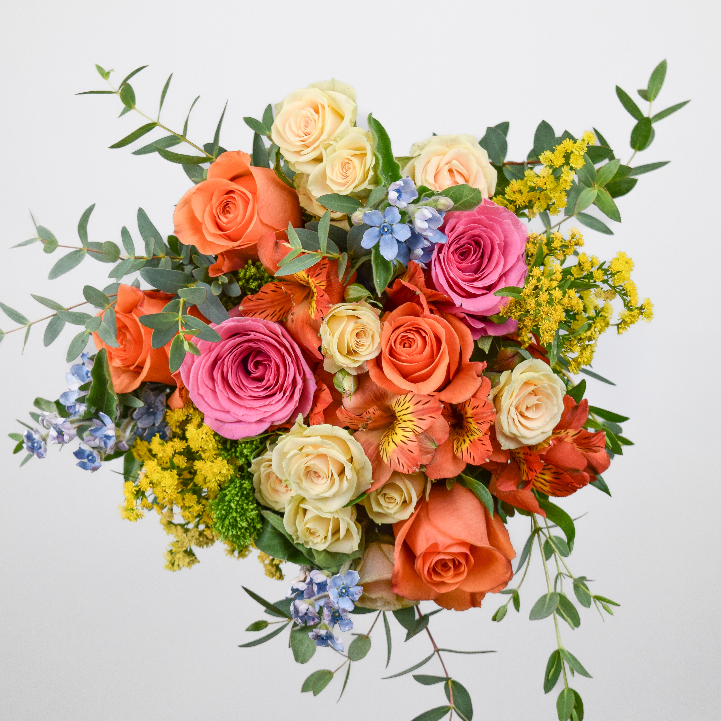 In_full_bloom_flower_late_spring_bouquet.png