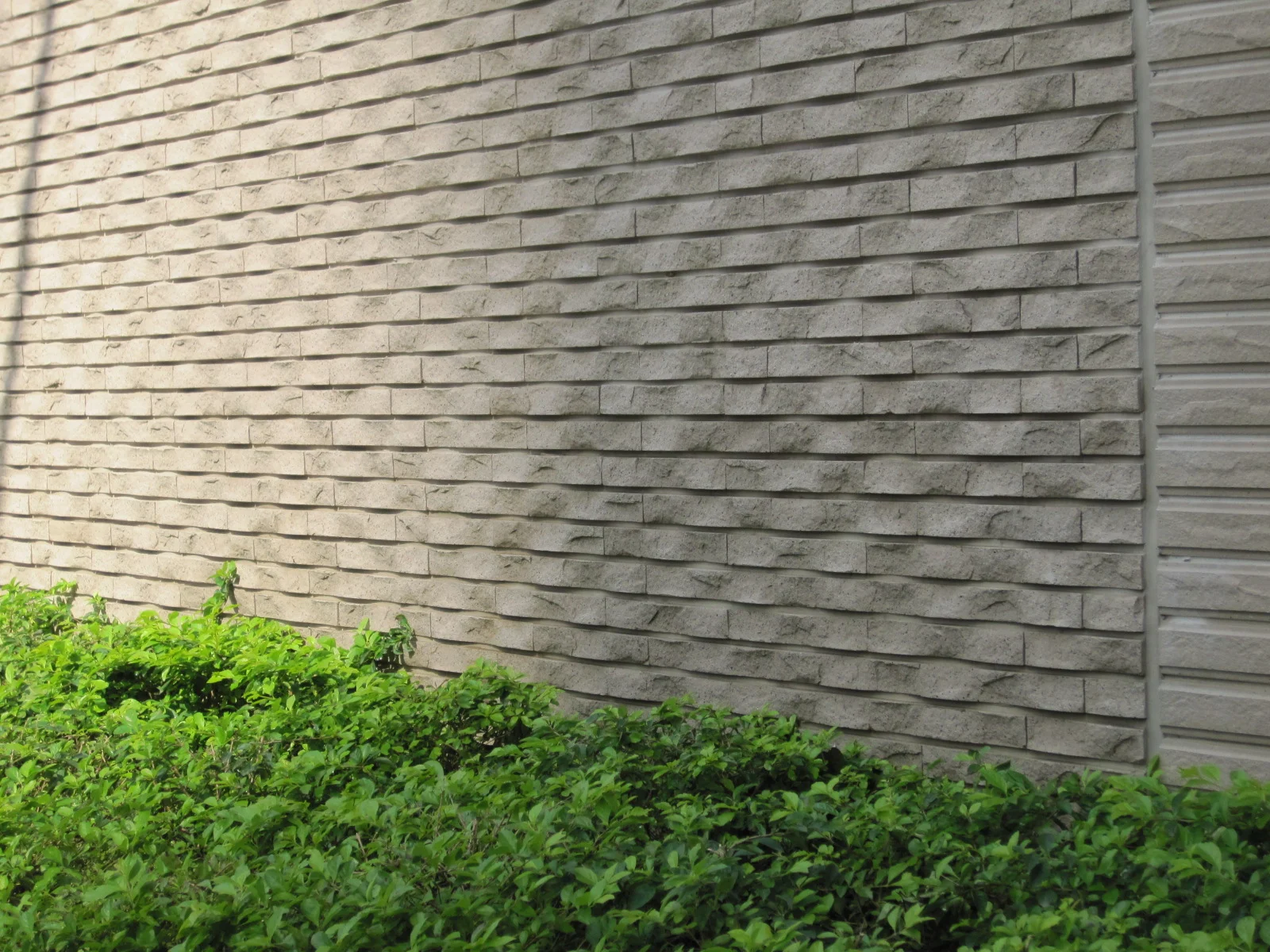 新竹市東區慈濟路_1663.JPG 的副本.jpg