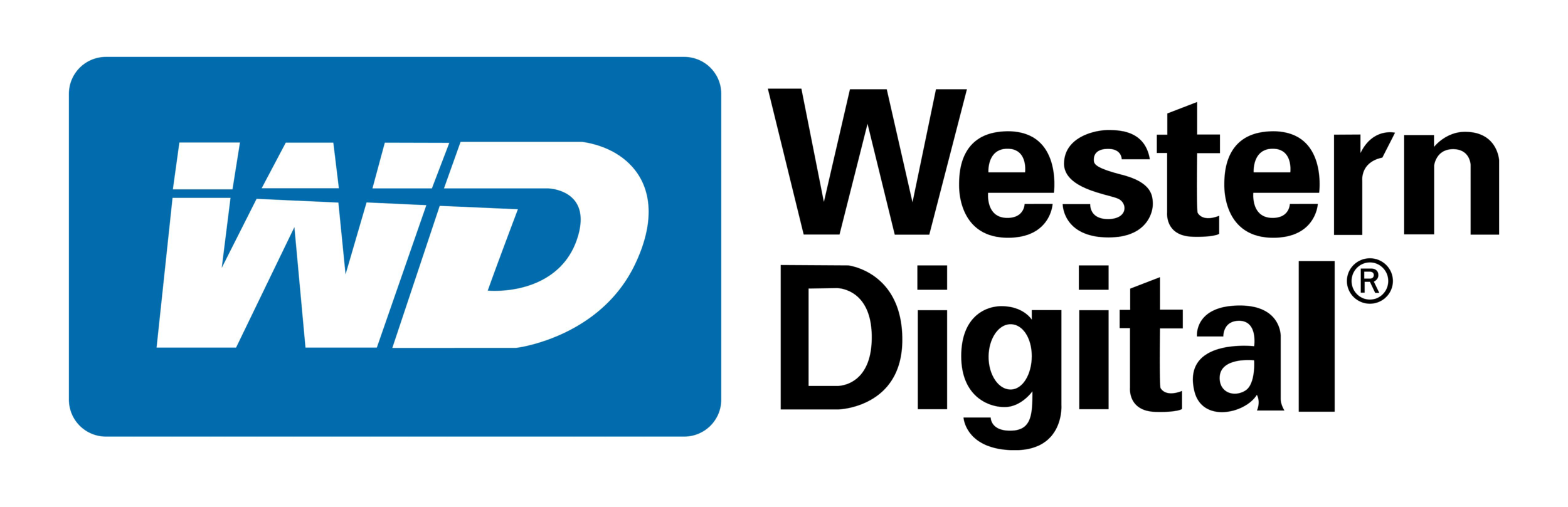 Western Digital Logo - 5100x1650.png