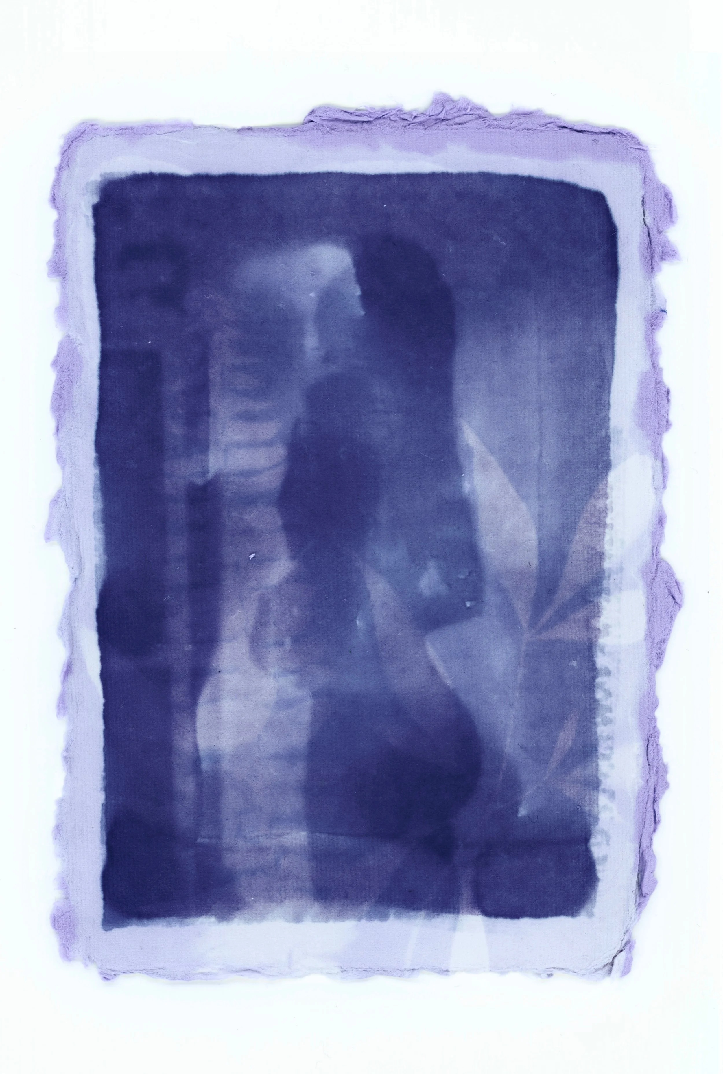 anthotype composite 1.