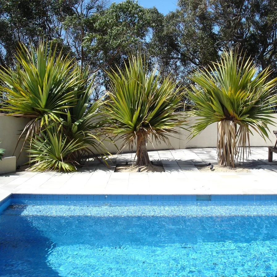 ammons-garden-poolside-site.jpg