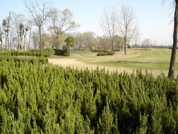 Yuan Yi Smallest.JPG