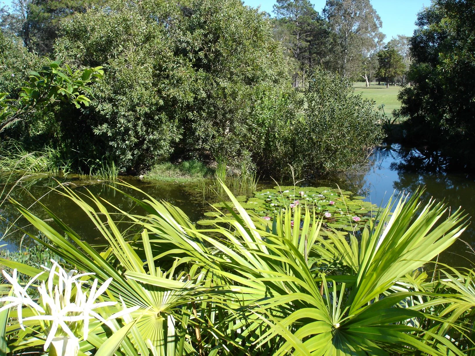 Urunga Villas 020 opt.jpg