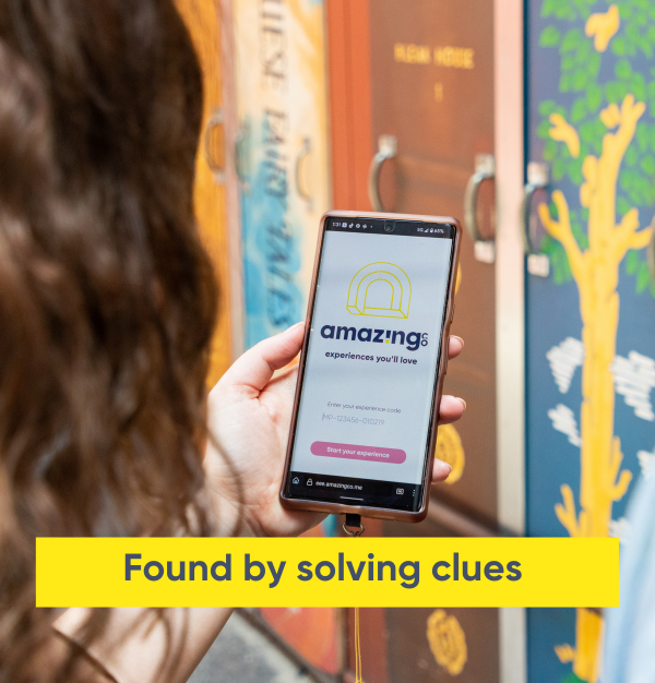 Mystery Picnics in Auckland - AmazingCo