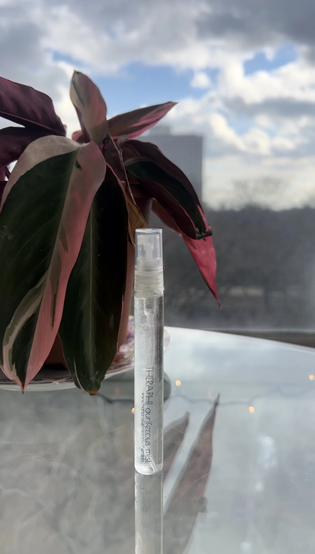 AADE2B84-C07B-451E-B61E-83B3B528A3D1