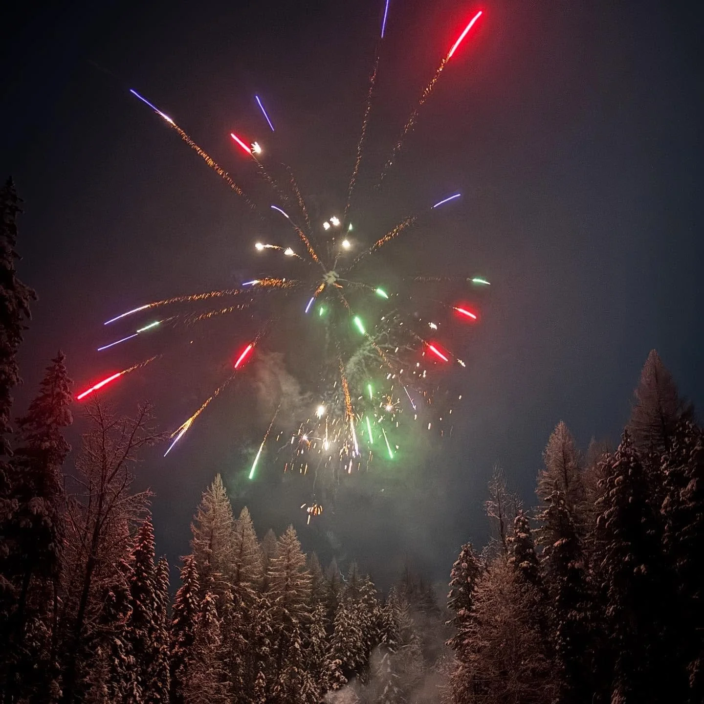 Happy new year everybody! Yesterday&rsquo;s party was a hoot and the fireworks show was top notch! Cheers! 🥂