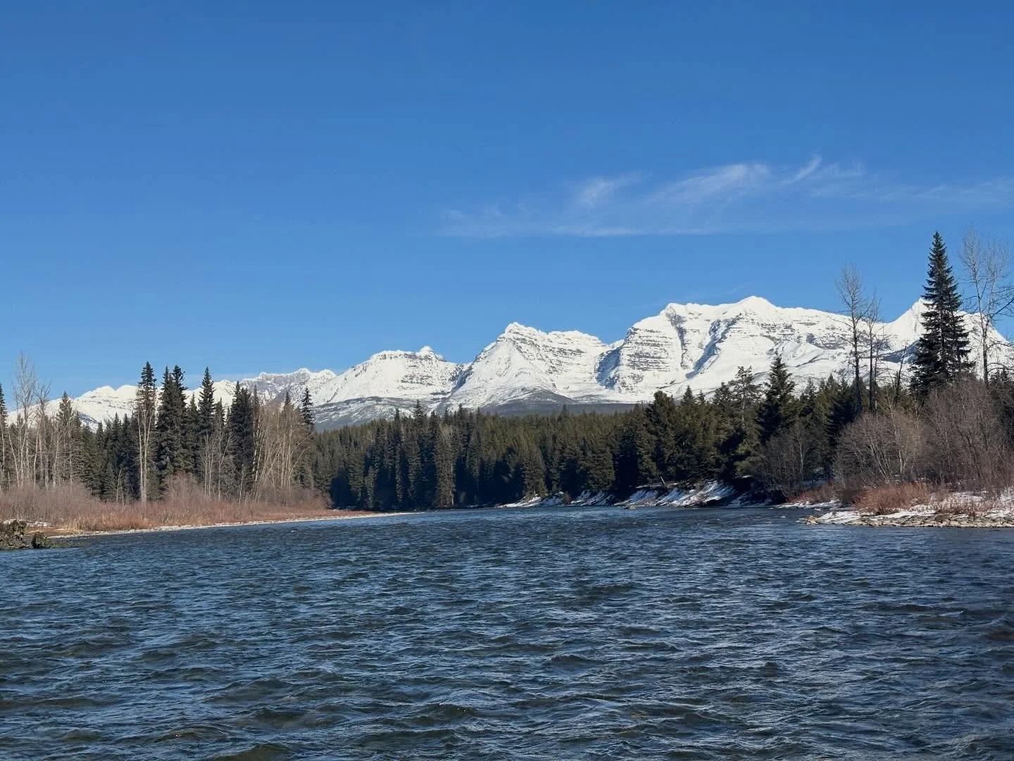 We sure hope winter comes back soon but it was fun to get out in the sunshine for some rafting yesterday!