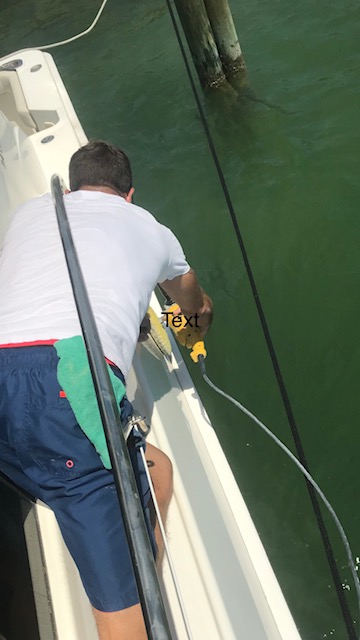 Royal Blue boat detailer cleaning the side of a boat during on-site service