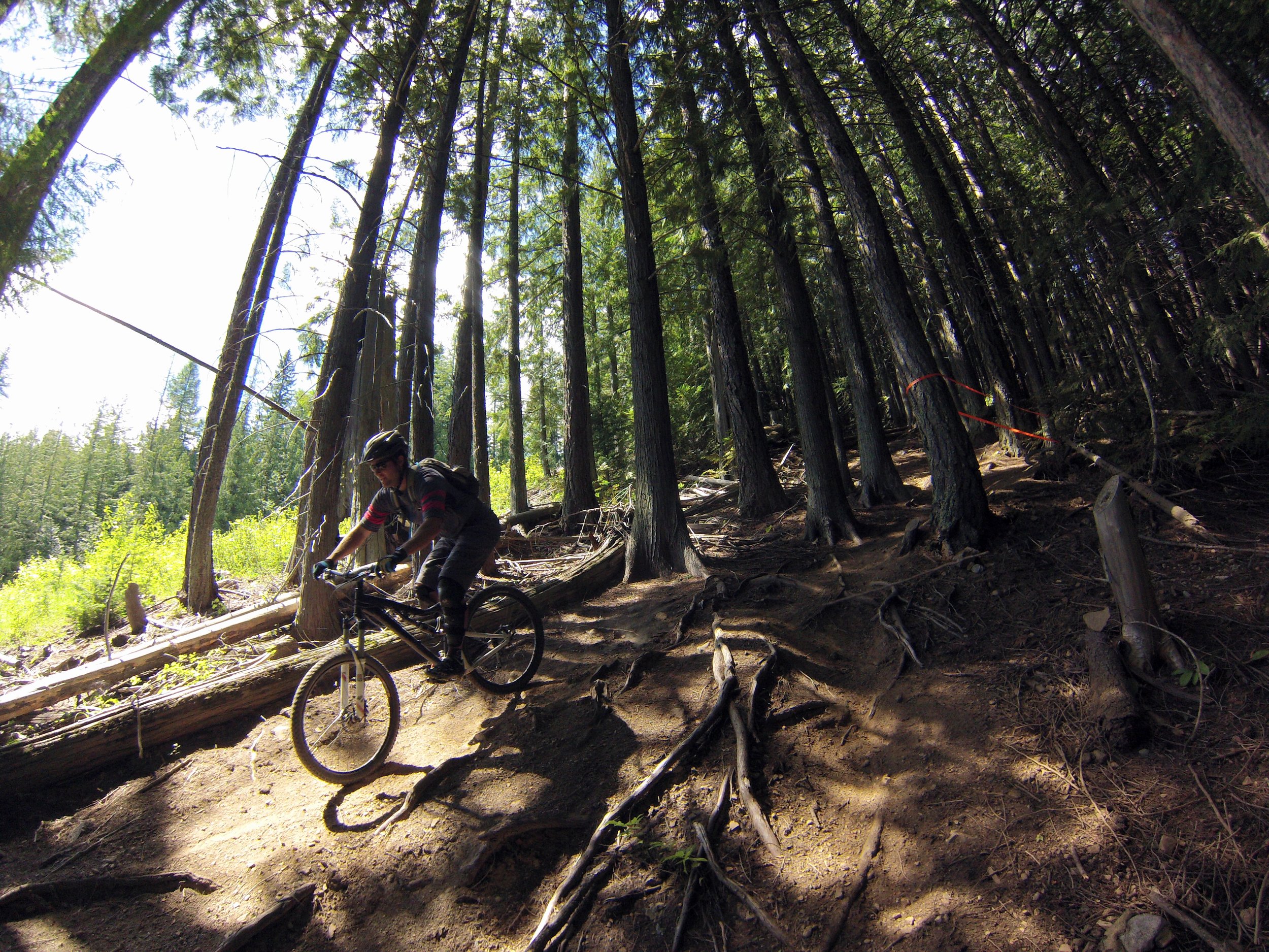 10-Fernie Alpine Resort.JPG