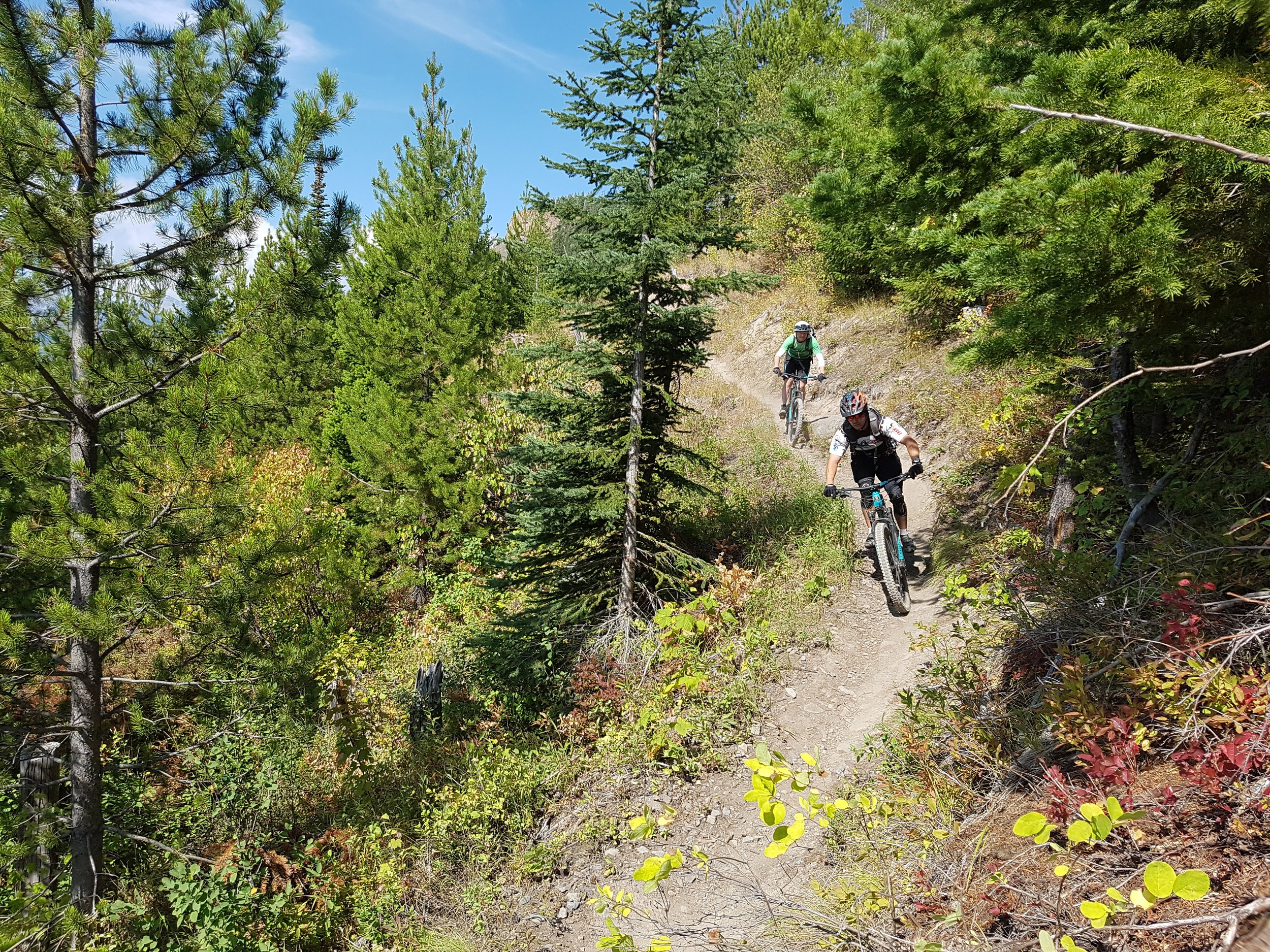 Mtb Southern Comfort, Fernie.jpg