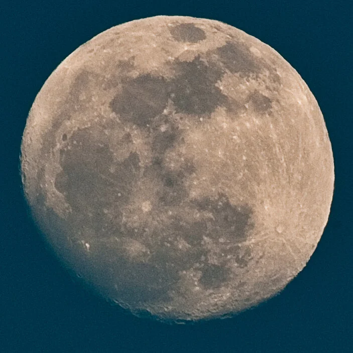 The Moon is Watching - Limited Edition