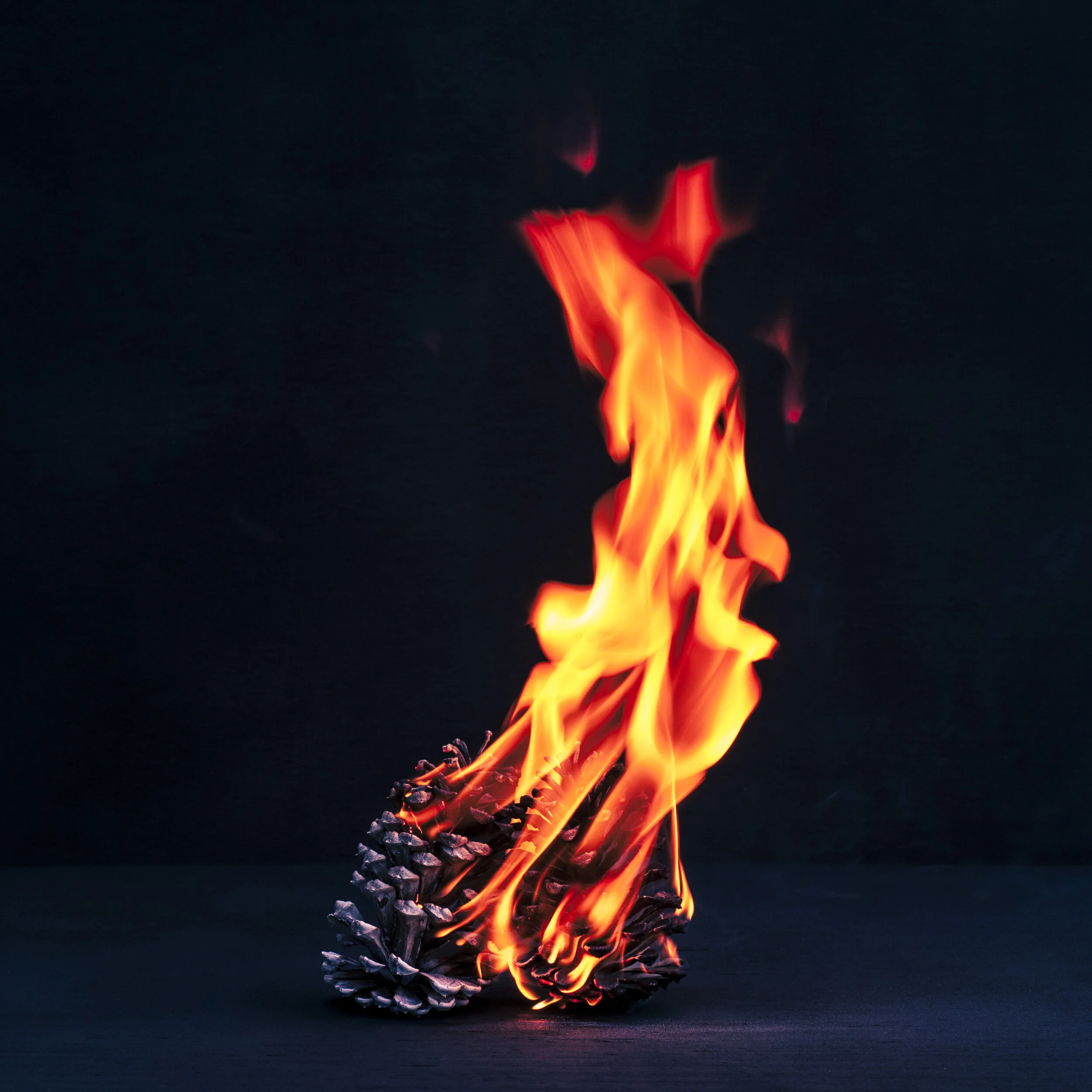 Seeded Fire - Limited Edition