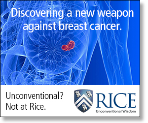 Rice-300x250-digital-ad-11-2016-breast-cancer-NEW.jpg