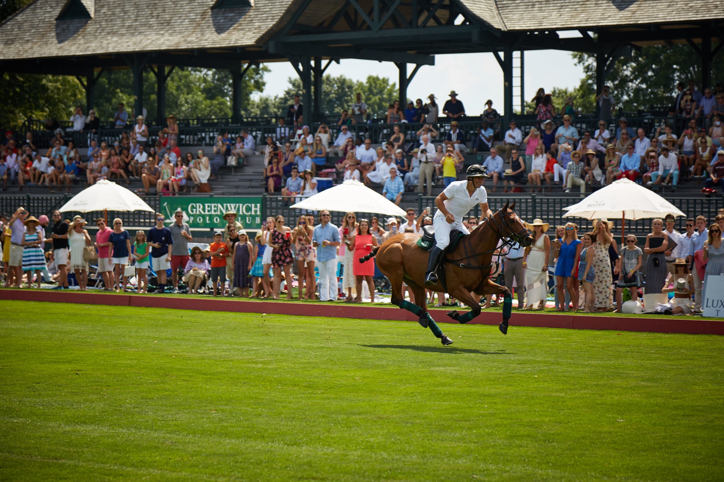 GreenwichPoloClub.jpg