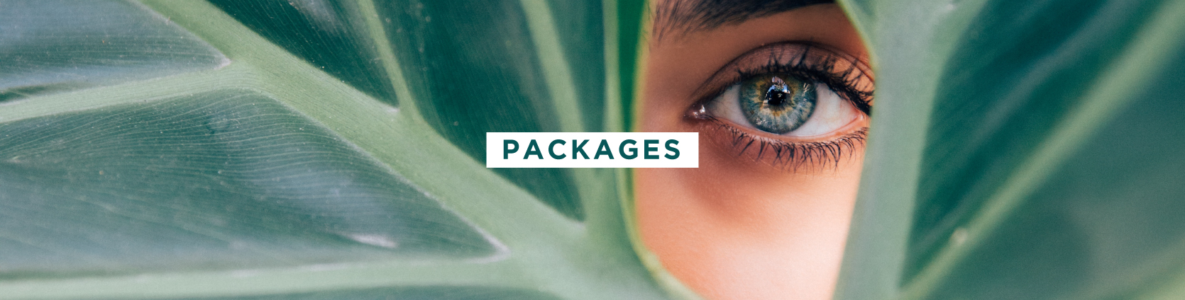 Packages_WebBanner.jpg