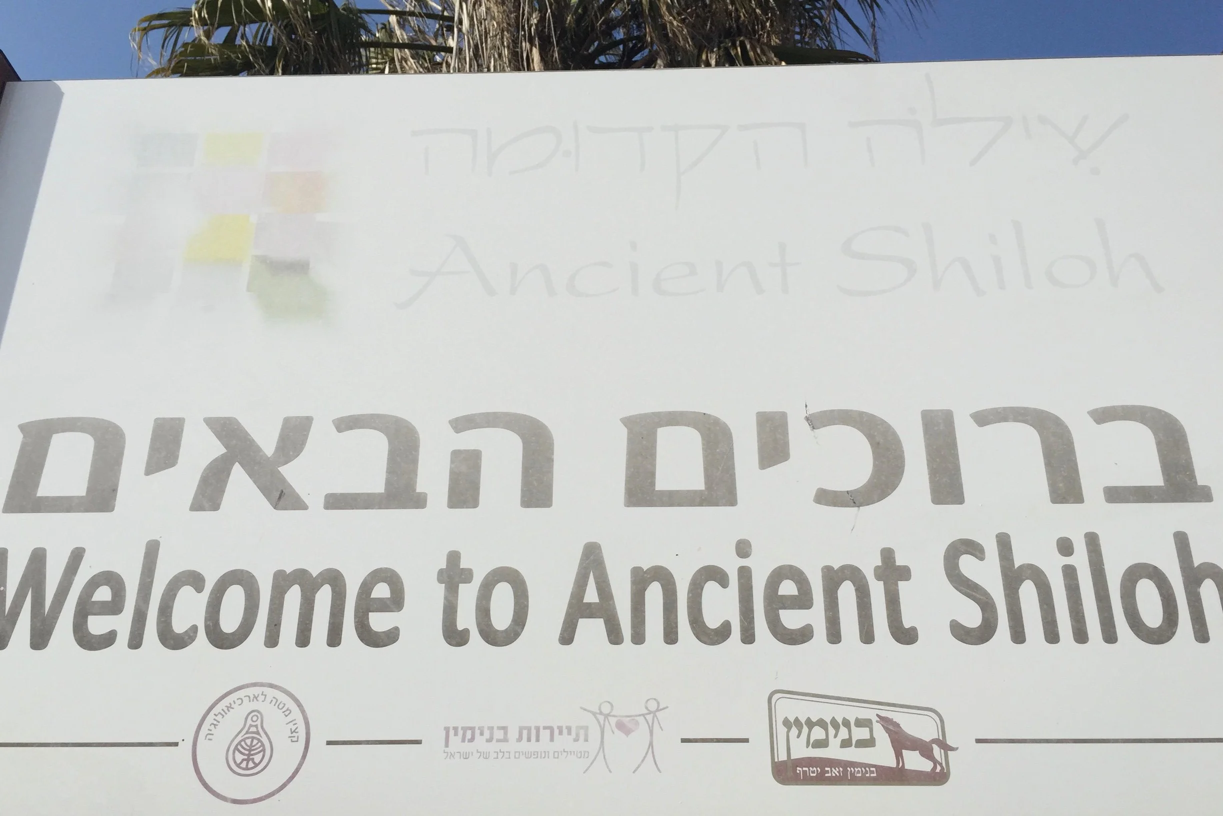 Shiloh- 2017