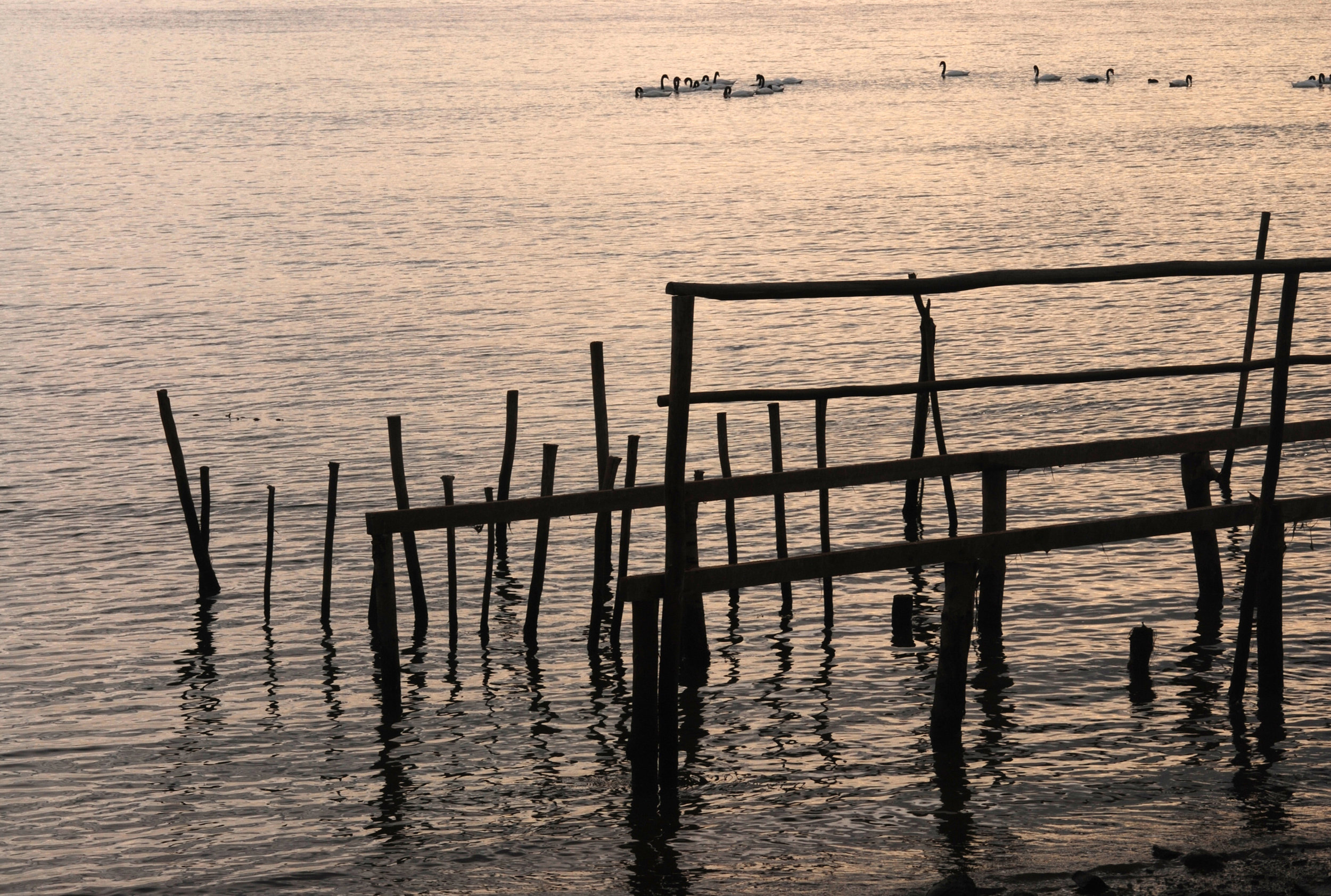 Laguna de Cahuil.JPG