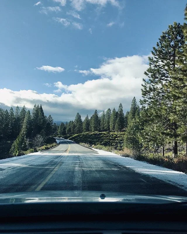 Sometimes you just need to go for a nice drive. Photo by @ott.o.ke 📸 #cultreredding #realredding .
.
.
.
.
#northerncalifornia #thisisredding #artofvisuals #explorecalifornia #passionpassport #norcal #redding #shasta #adventure #neverstopexploring #