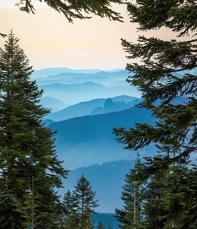 This is just one of the rad photos the @backroadsculture has taken. Thank you sir! 📸 #realredding #cultreredding .
.
.
.
.
#northerncalifornia #thisisredding #artofvisuals #explorecalifornia #passionpassport #norcal #redding #shasta #adventure #neve