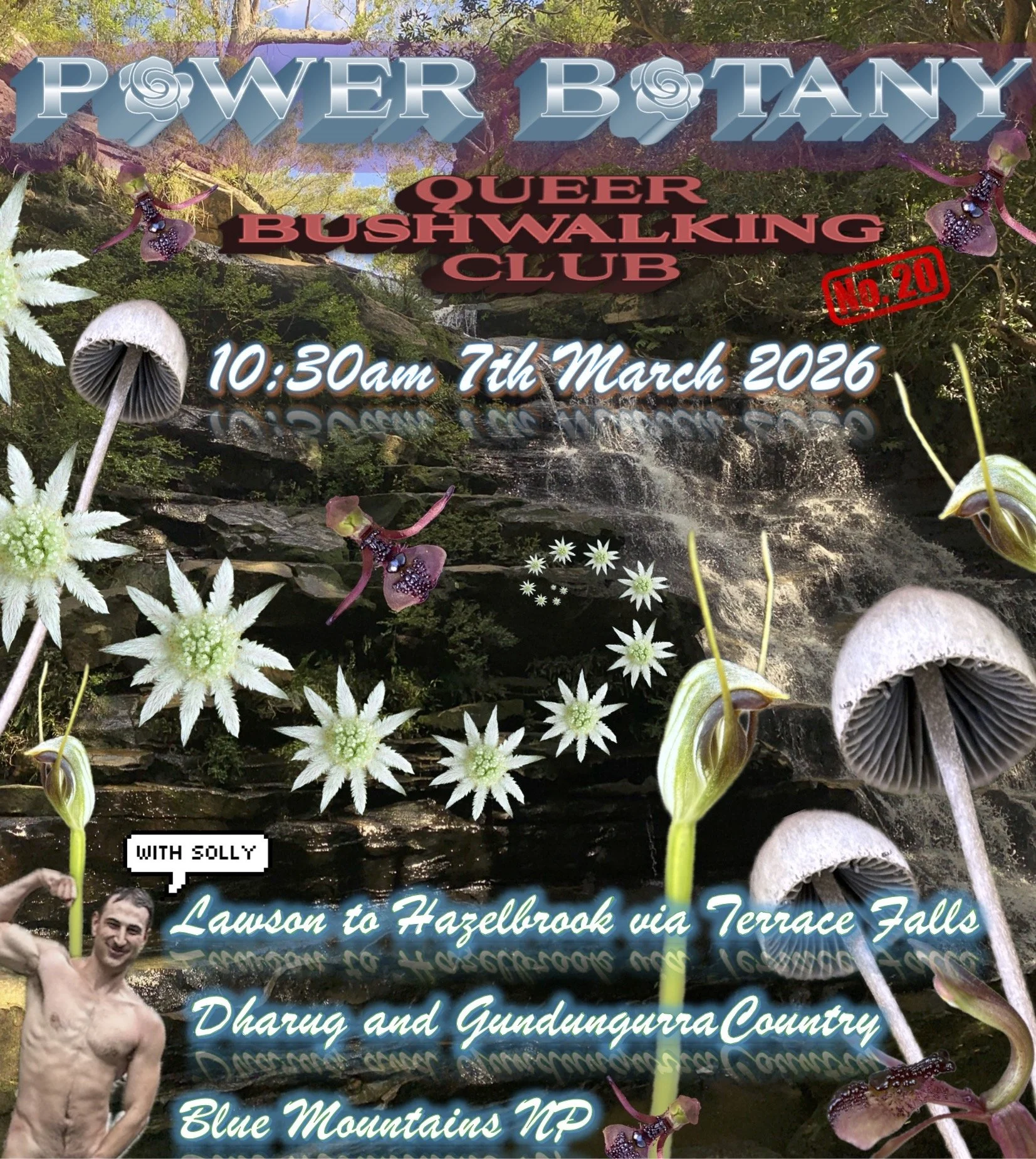 Power Botany 20: Lawson to Hazelbrook via Terrace Falls