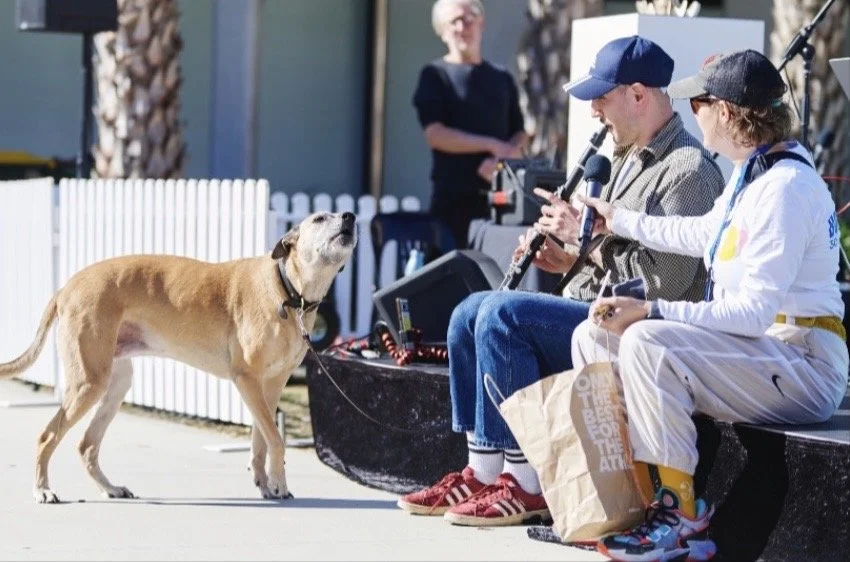 Dog Choir at Corrugations Alice Springs