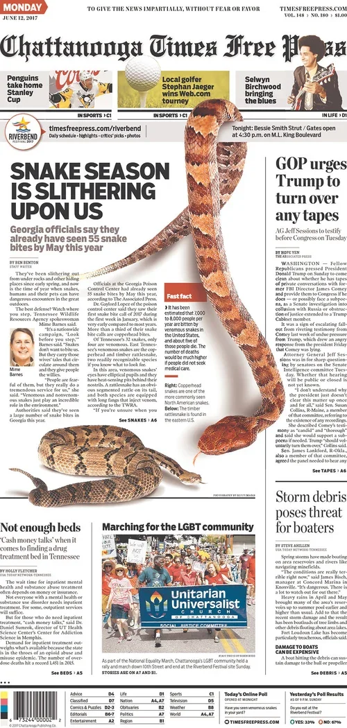 Snakes_Season.webp