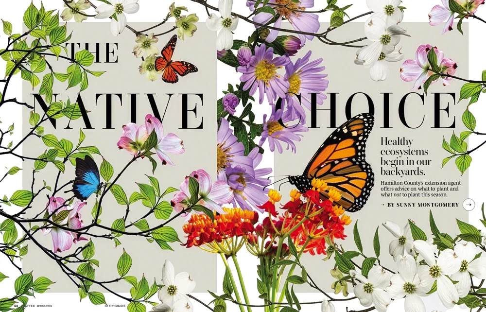 Native_Choice_Spring26.webp