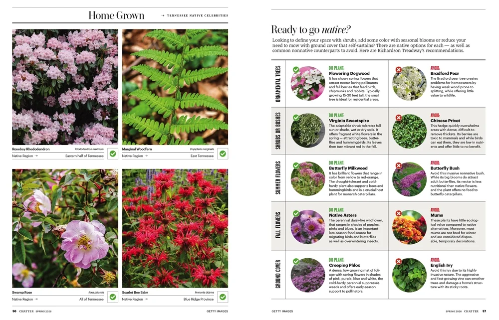 Native_Graphic_Spring26.webp